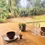 De Standing Avec Piscine Et à Pieds *