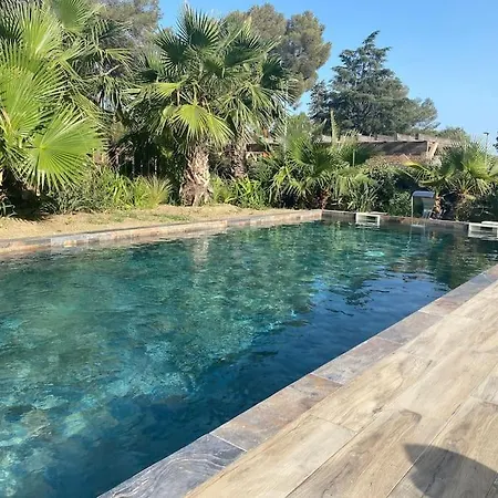 Daire De Standing Avec Piscine Et A Pieds